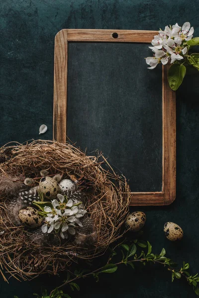 Voorjaarskaart Met Vogelnest Met Eieren Bloesembloesem Tak Plaats Voor Tekst — Stockfoto
