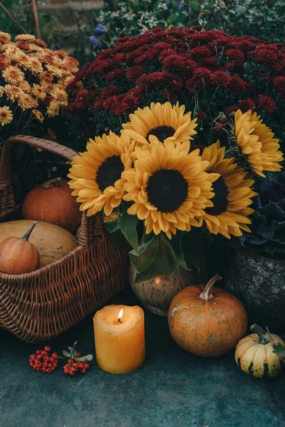 Autumn Decor Sunflowers Pumpkins Candle Garden — Stockfoto