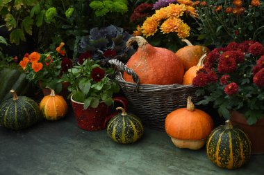 Bahçede Şükran Günü sonbahar dekoru