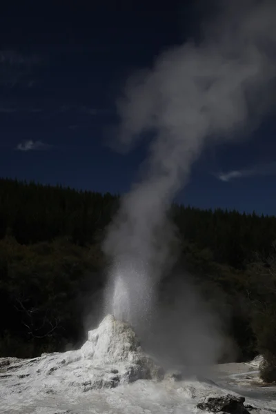 Bayanı tanıyor Şofben