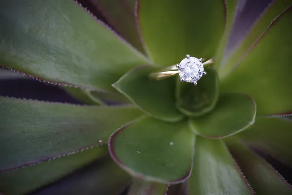 Ring van de diamant — Stockfoto