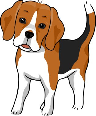 Beagle.