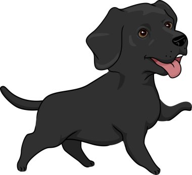 Labrador geri almak