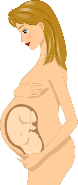 Беременная женщина с плодом — стоковое фото
