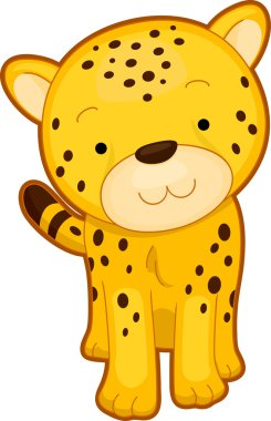 Cheetah Önden Görünüm