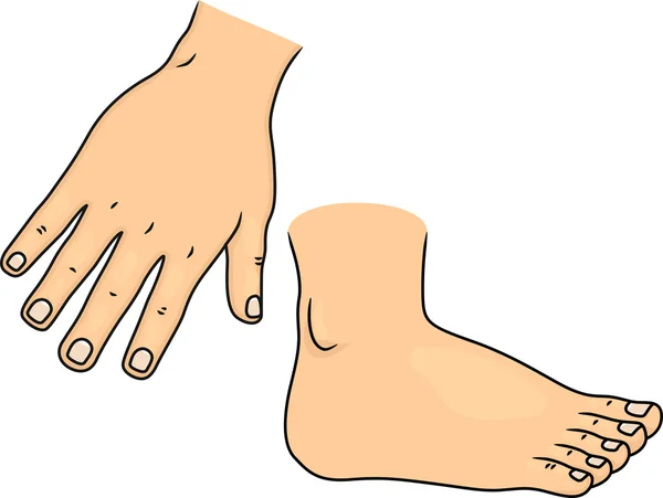 Piezas del cuerpo de mano y pie — Foto de Stock