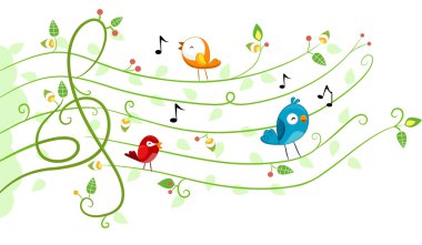 kuşlar müzik tasarım