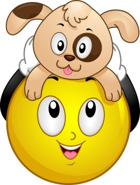 evcil köpek surat