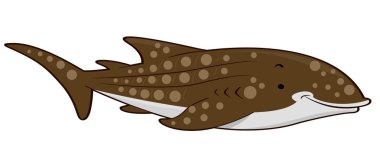 Balina Köpekbalığı