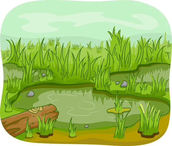 Wetlands — Stockfoto