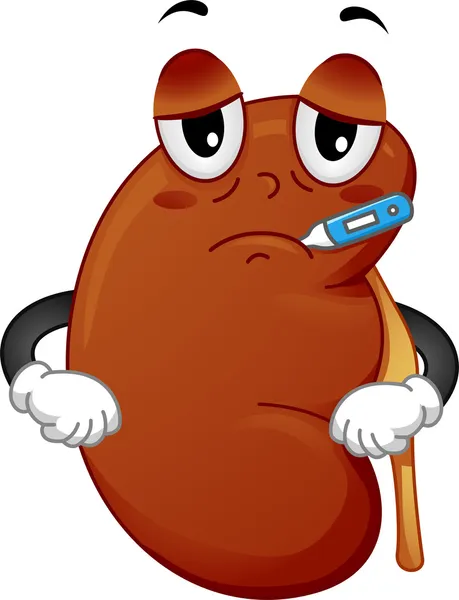 Kidney Mascot — Stock Photo, Image