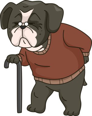 Yaşlı Köpek