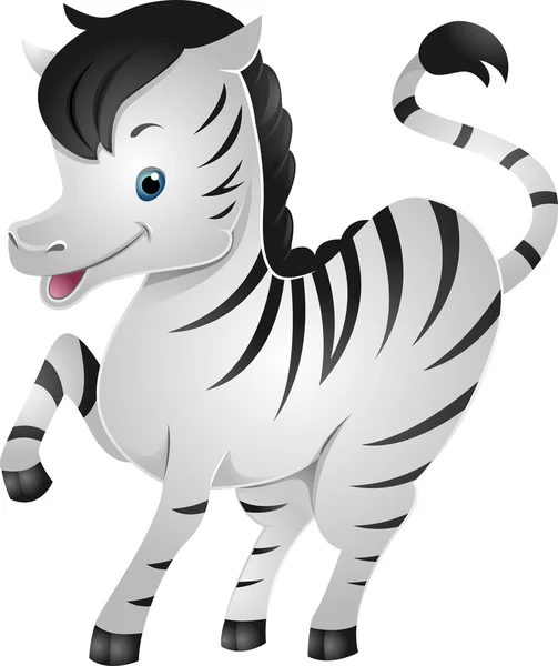 Zebra — Stockfoto