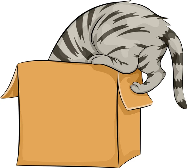 Cat Playing with Box — Stock Photo, Image