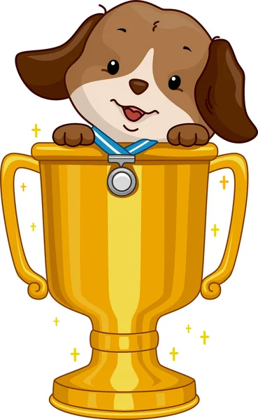 Dog Contest Winner — Stock Photo, Image