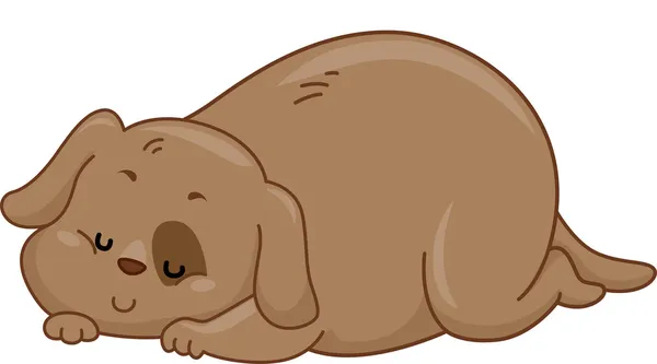 Obese Dog — Stock Photo, Image