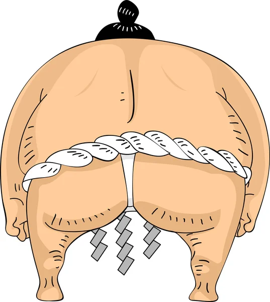 Back View Sumo Wrestler — Stock Photo, Image
