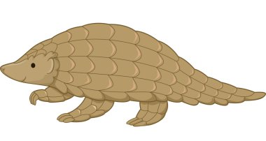 Pangolin