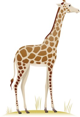 Zürafa