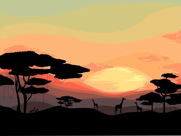 Safari Sunset — Stock Photo, Image