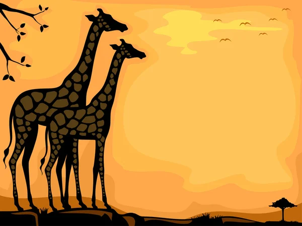 Giraffe Savanna Background — Stock Photo, Image