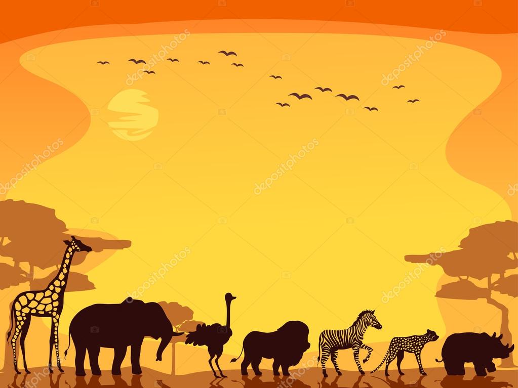 Wild animal safari africa