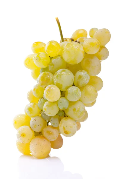 Bunch of white grapes — Stock Photo, Image