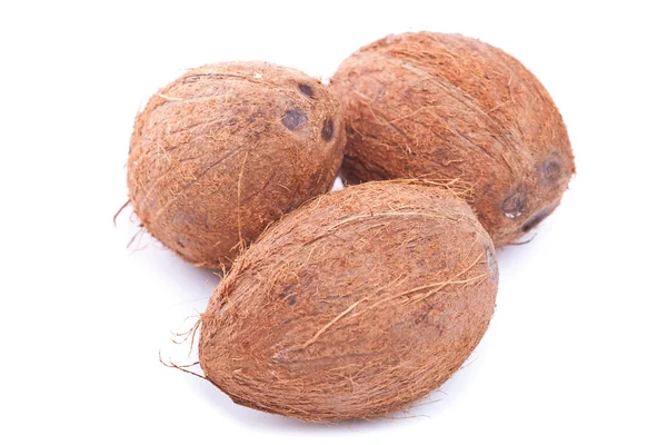 Group of coconuts — Stock Photo, Image