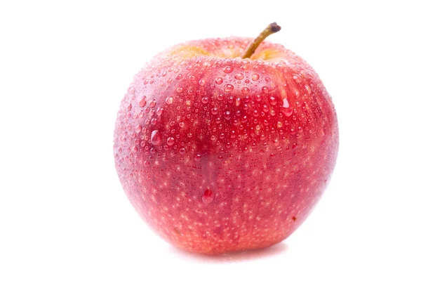 Rött äpple — Stockfoto