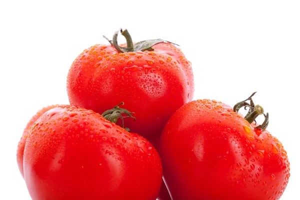Grupo de tomates — Fotografia de Stock