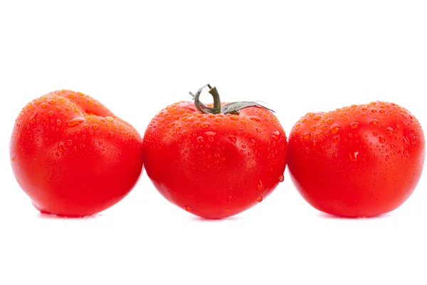 Trzy świeże pomidory — Zdjęcie stockowe
