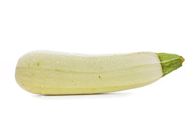 Ljus grön zucchini — Stockfoto