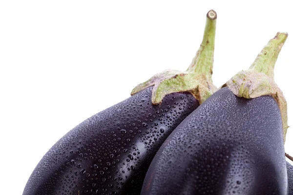 Planos de ovos com gotas de água — Fotografia de Stock