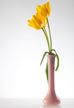 bir purlpe vazoda üç güzel Sarı laleler