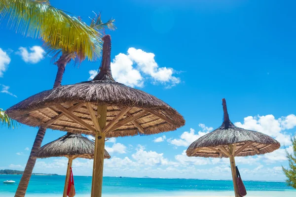 Slaměné slunečníky na krásné pláži — Stock fotografie
