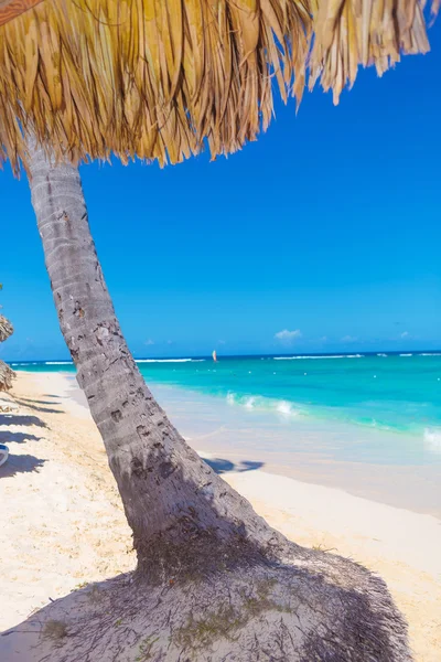 Palm tree with straw umbrella on a beautiful beach — Stock Photo, Image