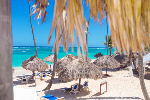 Strand mit Strohschirmen in Punta Cana — Stockfoto