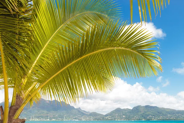 Vista de una isla tropical en las seychelles — Foto de Stock