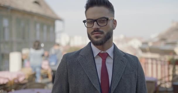 Portrait Handsome Young Businessman Glasses Looking Side Smiling Front Medieval — Stock Video