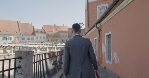 Achteraanzicht Van Jonge Elegante Man Met Koffer Zoek Naar Kant — Stockvideo