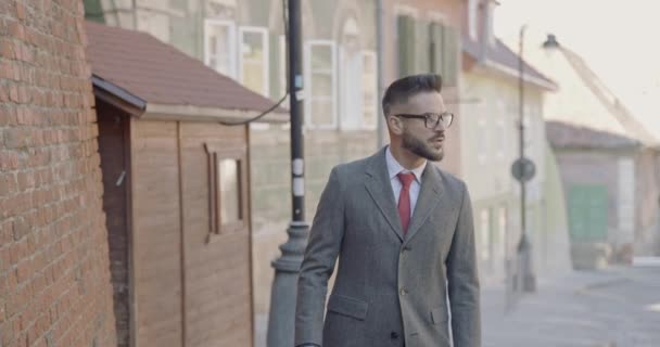 Sensual Bearded Businessman Suit Holding Suitcase Looking Side Military Saluting — Stock Video