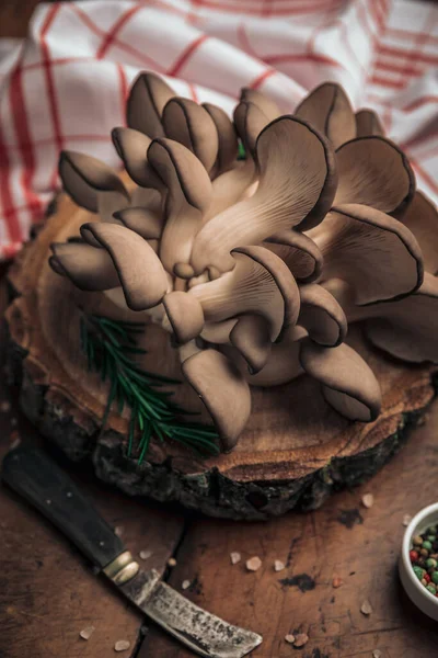 expressive food styling concept of fresh oyster fungus tree on top of antique chopping board in a rustic style, with penknife, kitchen towel and little bowl of pepper