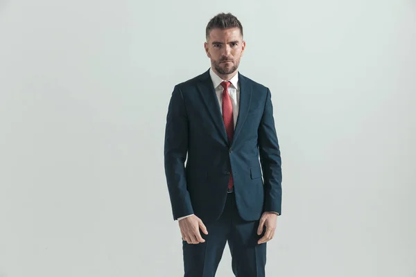 セクシーな剃毛されていないビジネスマンの肖像画エレガントなスーツを着てスタジオで灰色の背景の前にポーズ — ストック写真