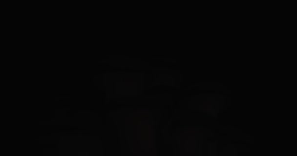 Поради Грибів Плевроту Повільно Відкриваються Темряви Грі Вогнів — стокове відео