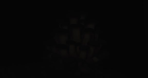 Frische Pleurotus Pilze Offenbaren Sich Langsam Aus Der Dunkelheit Ins — Stockvideo