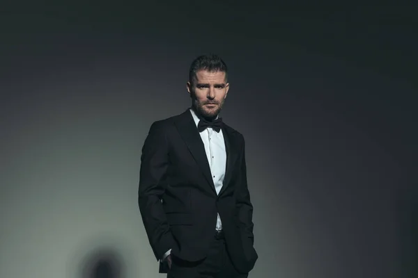 Portrait Sexy Businessman Tuxedo Bowtie Posing Hands Pockets Front Grey — Fotografia de Stock