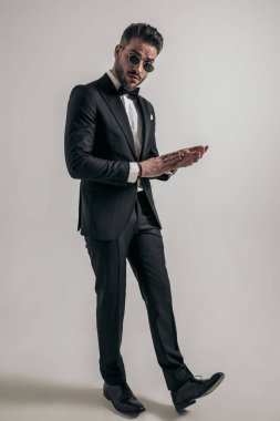 full body picture of sexy elegant man in tuxedo rubbing palms and walking on grey background in studio