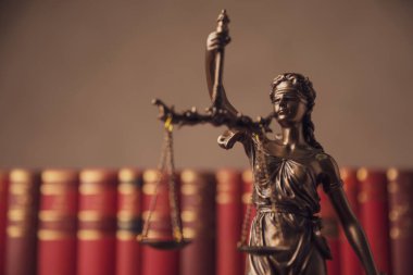 Gözü bağlı tanrıça tarafından temsil edilen uluslararası bronz hukuk sembolü. Elinde iki geniş hukuk, tarafsızlık ve güç kaynağını simgeleyen bir denge var. Üniversite odasında kitaplardan yapılmış bir arka plan. 