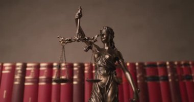 Bronz gözlü tanrıça, hukuk heykelinin dönüşünü temsil ediyor. Tarafsızlığı sembolize eden bir ölçek ve kılıç taşıyor. Üniversite odasında, kitaplardan oluşan bir geçmişi olan iki geniş hukuk kaynağı var.