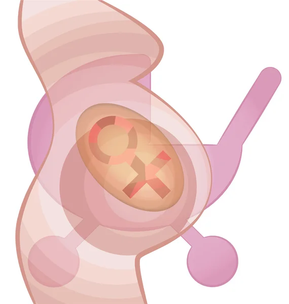 Ultrasound pregnant girl — Stock Vector